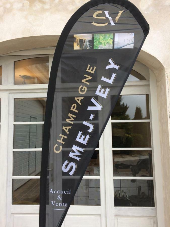Châtillon-sur-Marne Chambres D'Hotes Karine Smej المظهر الخارجي الصورة
